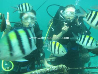 Tempat Diving Di Bali Untuk Pemula