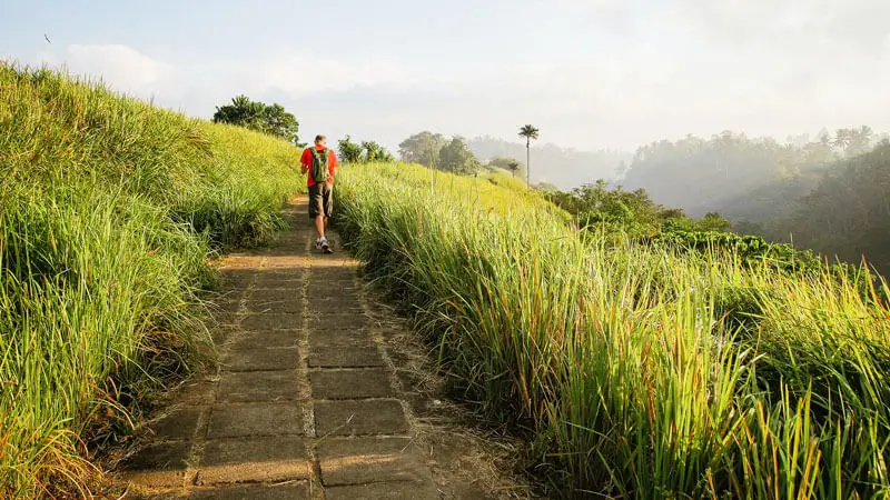 Pemandangan indah di jalur Campuhan Ridge Walk Ubud, destinasi ramah anak di Bali.