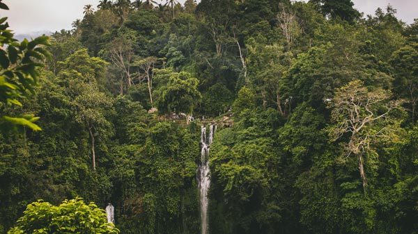 Air Terjun Sekumpul - 20 tempat wisata untuk dikunjungi Bali