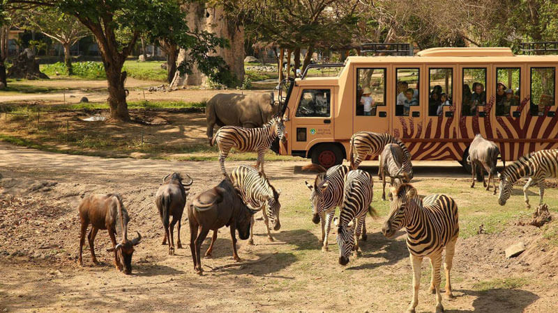 Anak-anak menikmati safari journey di Bali Safari Marine Park