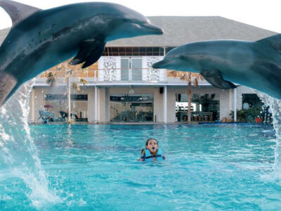 Anak terpukau melihat dua lumba-lumba melompat di Bali Dolphin Marine Park