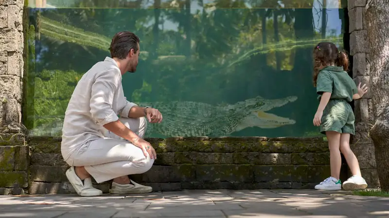 Ayah dan anak melihat buaya di Bali Zoo, destinasi wisata keluarga di Ubud.