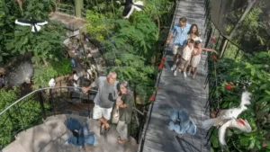 Keluarga menikmati waktu di Bali Bird Park, salah satu destinasi ramah anak di Ubud.