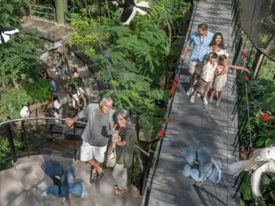 Keluarga menikmati waktu di Bali Bird Park, salah satu destinasi ramah anak di Ubud.