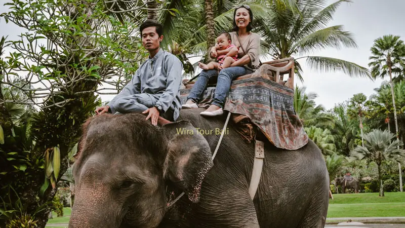 Keluarga menikmati naik gajah di Mason Elephant Park, Ubud.