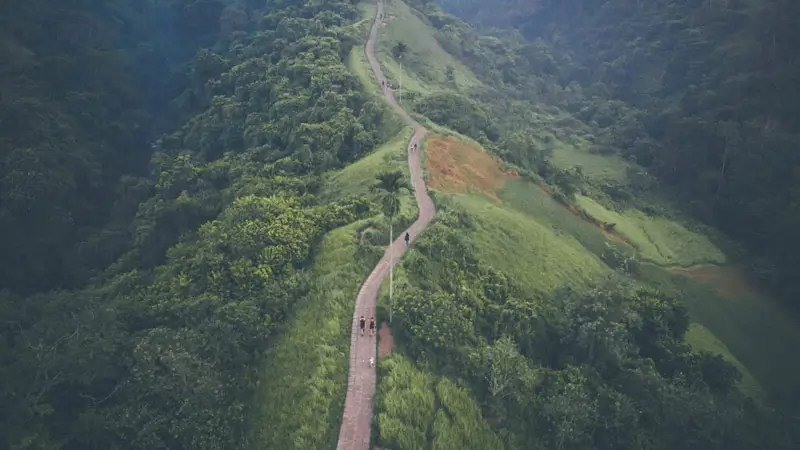 Jalur trekking di Bukit Campuhan Ubud salah satu dari 5 Tempat Wisata Hits di Ubud