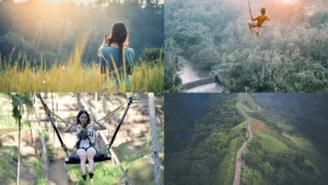 Pengunjung menikmati pemandangan alam Ubud, Bali; berayun di Bali Swing; trekking di Bukit Campuhan; dan berfoto di sawah terasering Tegalalang.