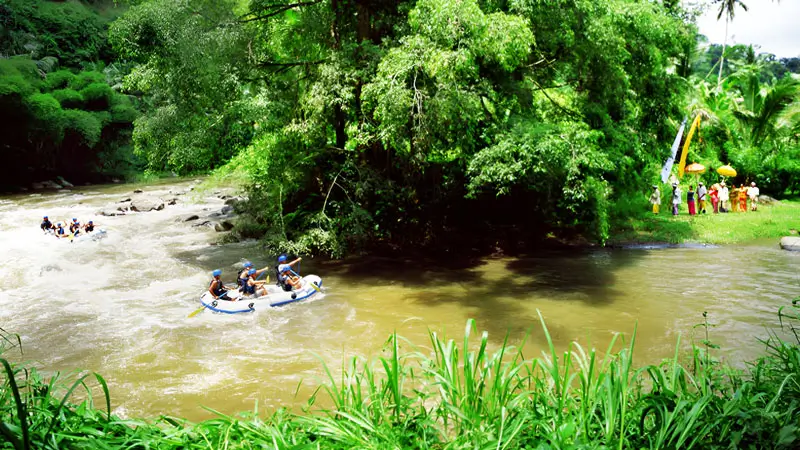 Rafting di Sungai Ayung Bali dengan Pemandangan Alam yang Asri.